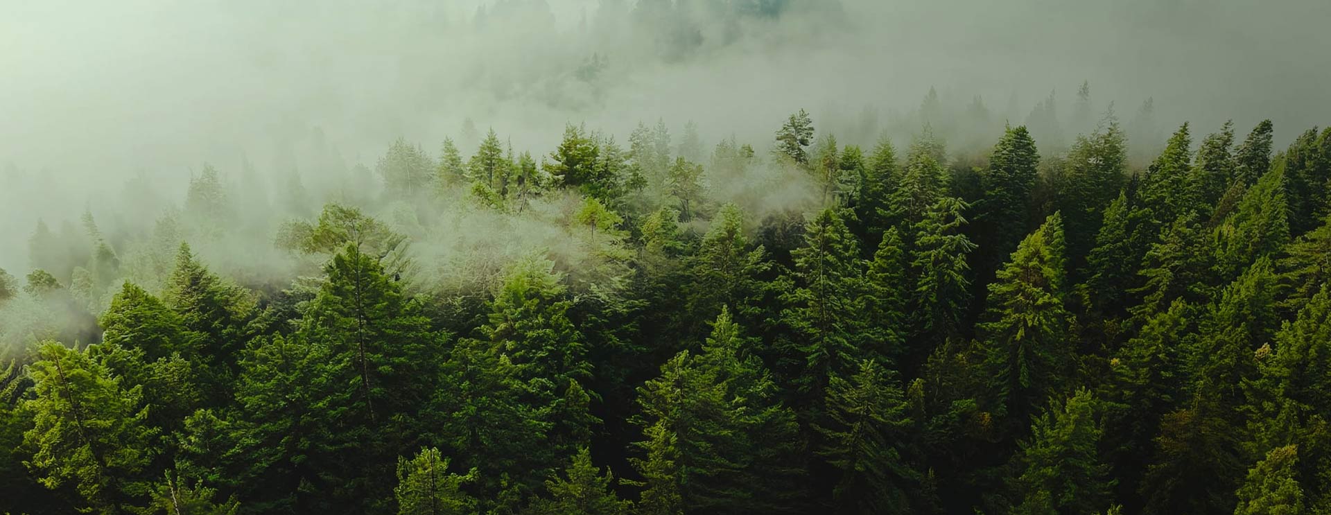 Nantong Sufang Têxtil Co., Ltd.